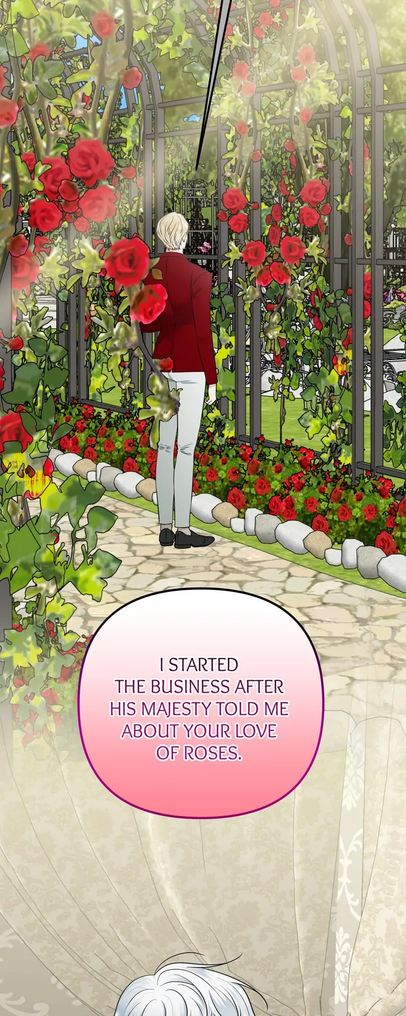 33488041 800 2000 228080