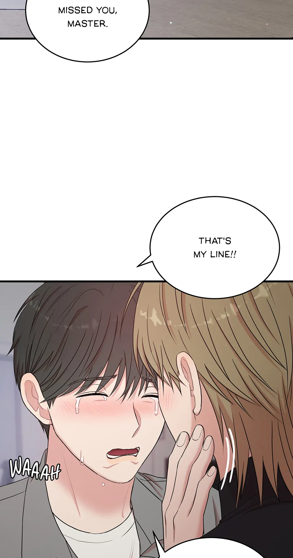 88965593 940 1785 81884