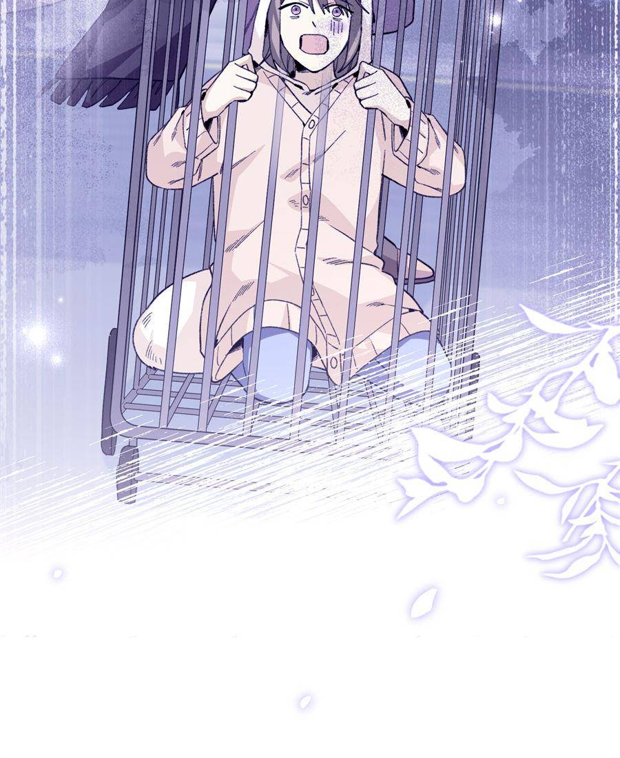 42. The Weird Rules of the Beast World 93 81431299 900 1100 141263